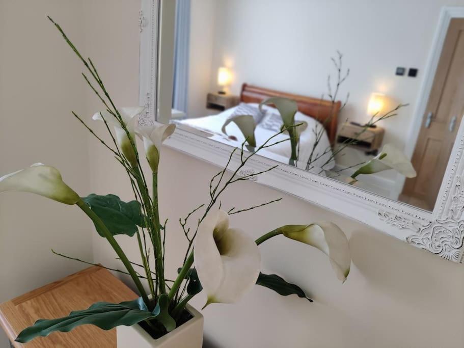 Escape To The Coast In A Luxurious Private Apartment Herne Bay Exterior foto